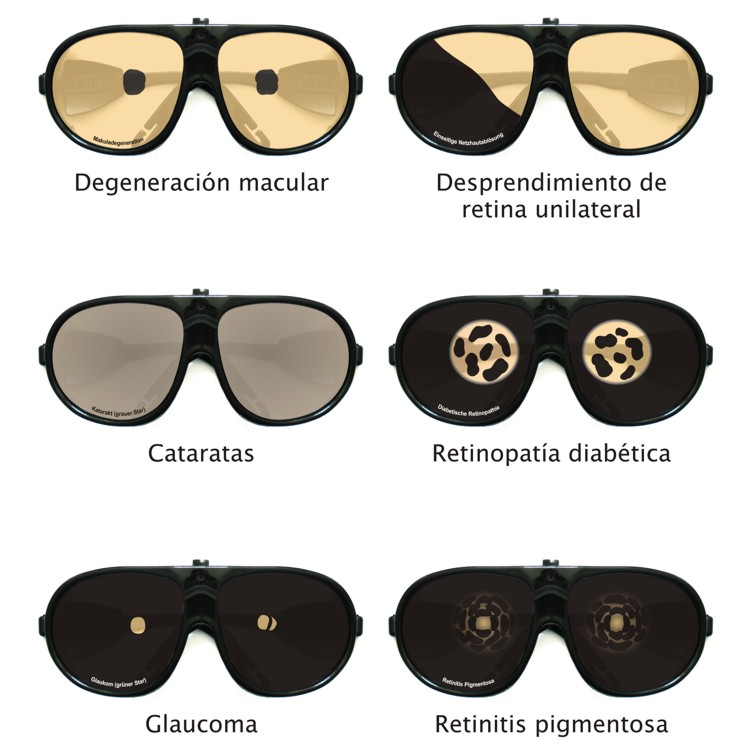 Gafas de simulaci n